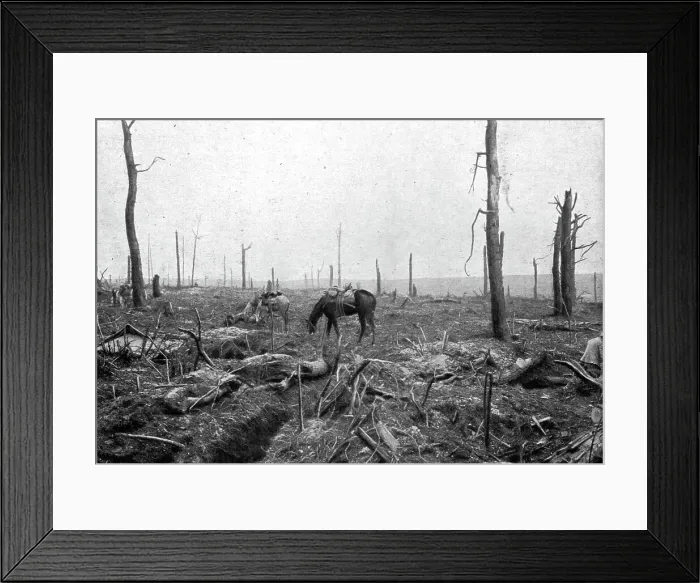 Framed Print : Sur le rerrain de l'avance Francaise au sud de la Somme; dans le Bois Hache, le bien nomme... 1916 Creator: Unknown Framed Print : Sur le rerrain de l'avance Francaise au sud de la Somme; dans le Bois Hache, le bien nomme... 1916 Creator: Unknown