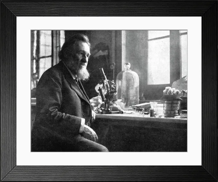 Framed Print : Le professeur Elie Metchikoff; sous-directeur de l'institut Pasteur, c1916. Creator: Dornac Framed Print : Le professeur Elie Metchikoff; sous-directeur de l'institut Pasteur, c1916. Creator: Dornac