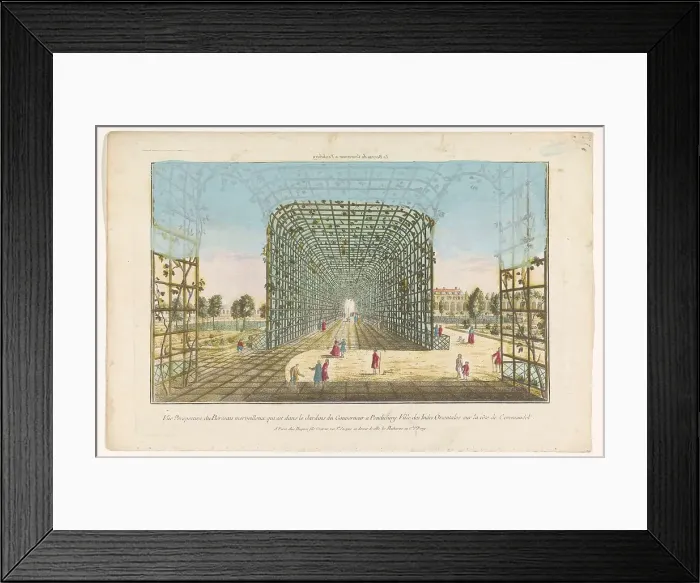Framed Print : View of the foliage of the Governor's garden in Pondicherry, 1735-1805. Creator: Unknown Framed Print : View of the foliage of the Governor's garden in Pondicherry, 1735-1805. Creator: Unknown
