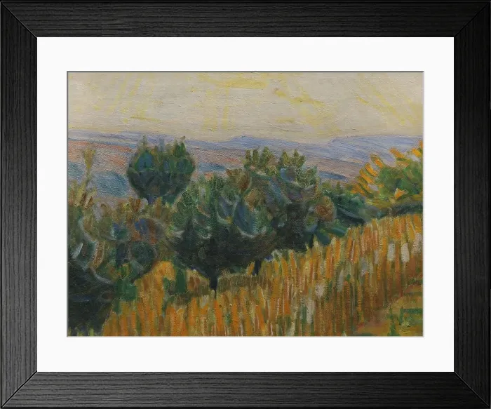 Framed Print : The Vine against the Light. A wheat field in the foreground. Villa Linda, Florence, 1923. Creator: Niels Larsen Stevns Framed Print : The Vine against the Light. A wheat field in the foreground. Villa Linda, Florence, 1923. Creator: Niels Larsen Stevns