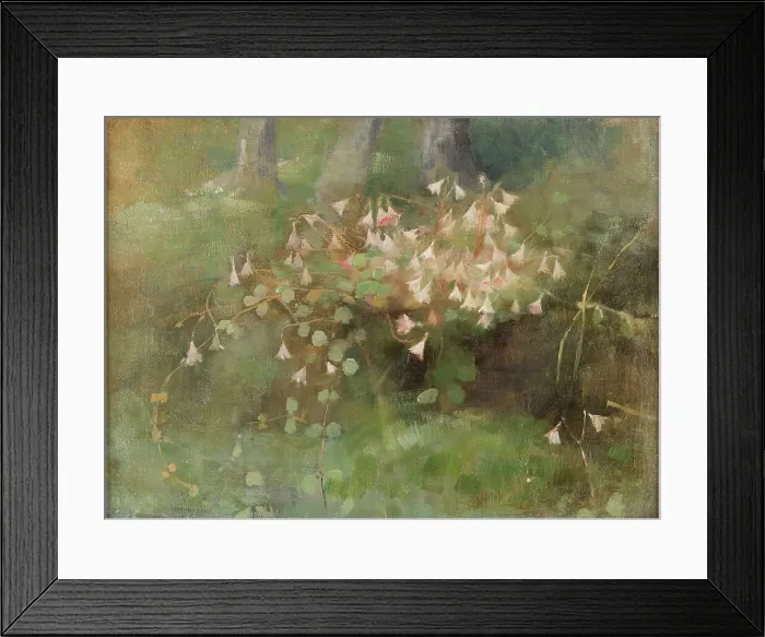 Framed Print : Twinflowers, 1886. Creator: Schjerfbeck, Helene (1862-1946) Framed Print : Twinflowers, 1886. Creator: Schjerfbeck, Helene (1862-1946)