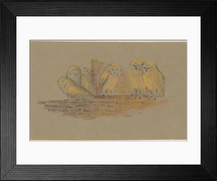 Framed Print : Greeting card with six owls, 1890. Creator: Theo van Hoytema