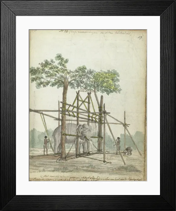 Framed Print : Elephant stable, 1786. Creator: Jan Brandes Framed Print : Elephant stable, 1786. Creator: Jan Brandes