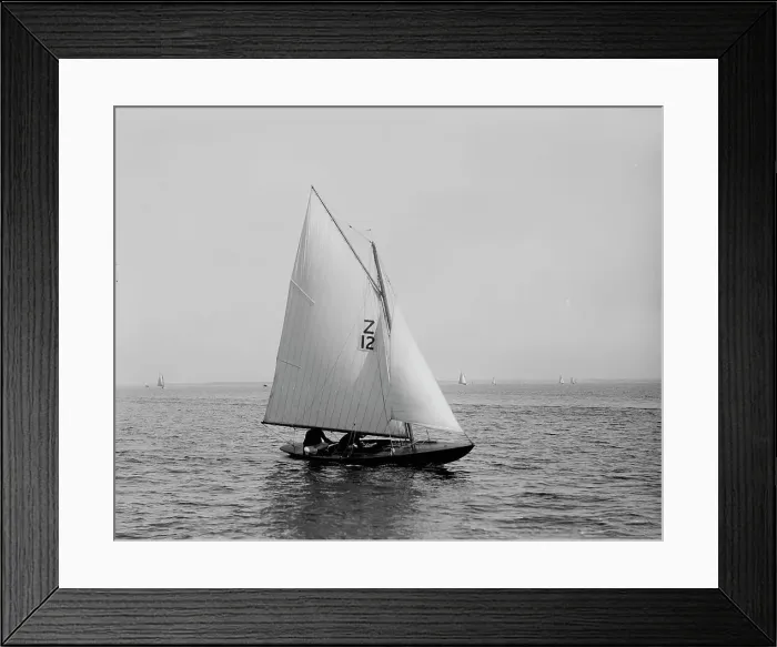 Framed Print : Trilby, 1896 June 30. Creator: Lycurgus S. Glover