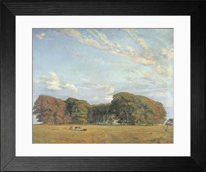 Framed Print : Plain of the Hermitage, 1904. Creator: Aksel M. Lassen Framed Print : Plain of the Hermitage, 1904. Creator: Aksel M. Lassen