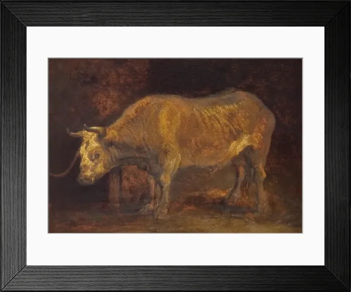 Framed Print : An Ox Standing, 1644. Creators: Rembrandt Harmensz van Rijn, School of Rembrandt van Rijn Framed Print : An Ox Standing, 1644. Creators: Rembrandt Harmensz van Rijn, School of Rembrandt van Rijn