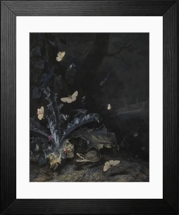 Framed Print : Still Life with Thistle and Snake, 1663. Creator: Otto Marseus van Schrieck Framed Print : Still Life with Thistle and Snake, 1663. Creator: Otto Marseus van Schrieck