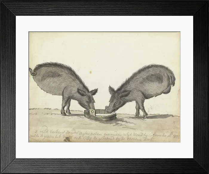 Framed Print : Pigs without hind legs at a trough, 1785. Creator: Jan Brandes Framed Print : Pigs without hind legs at a trough, 1785. Creator: Jan Brandes