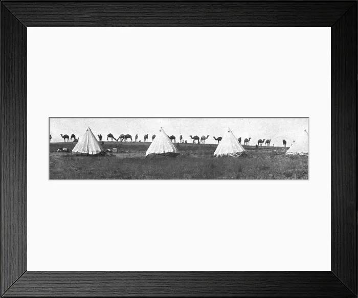 Framed Print : La Turquie Succombe; Le camel corps de l'armee britannique de Palestine; un camp dans... 1918. Creator: Unknown Framed Print : La Turquie Succombe; Le camel corps de l'armee britannique de Palestine; un camp dans... 1918. Creator: Unknown