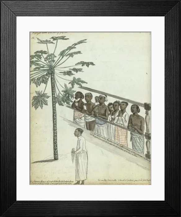 Framed Print : Papaya tree, litigants come to see the Dessave, and a hennikap or free servant in Colombo, 1785. Creator: Jan Brandes Framed Print : Papaya tree, litigants come to see the Dessave, and a hennikap or free servant in Colombo, 1785. Creator: Jan Brandes