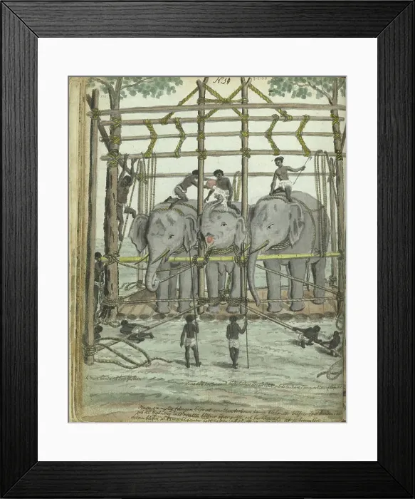 Framed Print : Taming an elephant, 1785. Creator: Jan Brandes Framed Print : Taming an elephant, 1785. Creator: Jan Brandes