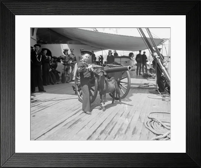 Framed Print : U.S.S. New York, Admiral Sampson's son and Pitch the mascot, between 1893 and 1901. Creator: William H. Jackson Framed Print : U.S.S. New York, Admiral Sampson's son and Pitch the mascot, between 1893 and 1901. Creator: William H. Jackson