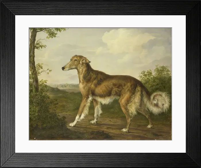 Framed Print : Siberian Greyhound, c.1825. Creator: Jan Dasveldt Framed Print : Siberian Greyhound, c.1825. Creator: Jan Dasveldt