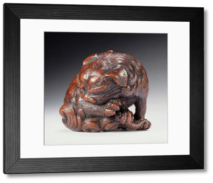 Framed Print : Chinese Lion Chewing Its Paw, First half of 19th century. Creator: Tadatoshi Framed Print : Chinese Lion Chewing Its Paw, First half of 19th century. Creator: Tadatoshi
