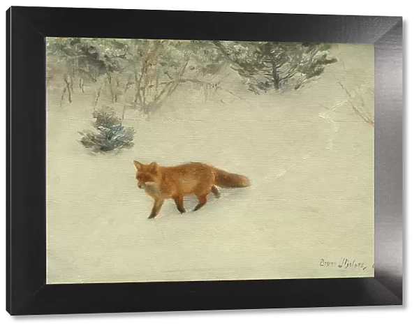 The Fox, 1893. Creator: Bruno Liljefors