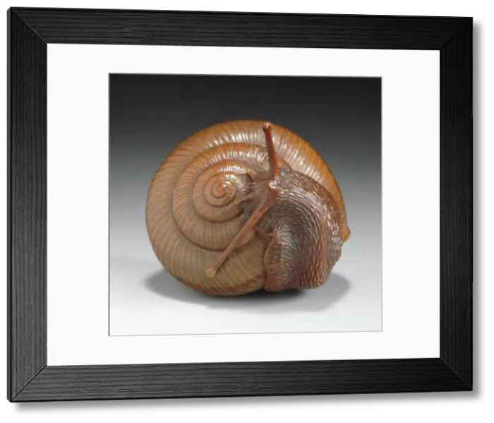 Framed Print : Snail, First half of 19th century. Creator: Tadatoshi Framed Print : Snail, First half of 19th century. Creator: Tadatoshi