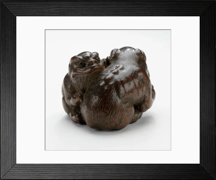 Framed Print : Pair of Three-Clawed Animals (image 1 of 2), early 19th century. Creator: Tomin Framed Print : Pair of Three-Clawed Animals (image 1 of 2), early 19th century. Creator: Tomin