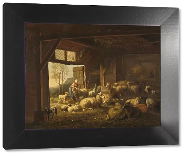 Sheep and Goats in a Stable, 1821. Creator: Jan van Ravenswaay