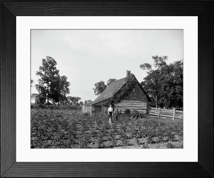 Framed Print : Log cabin, probably Rio Vista, Grosse Ile, Mich. between 1900 and 1910. Creator: William H. Jackson Framed Print : Log cabin, probably Rio Vista, Grosse Ile, Mich. between 1900 and 1910. Creator: William H. Jackson