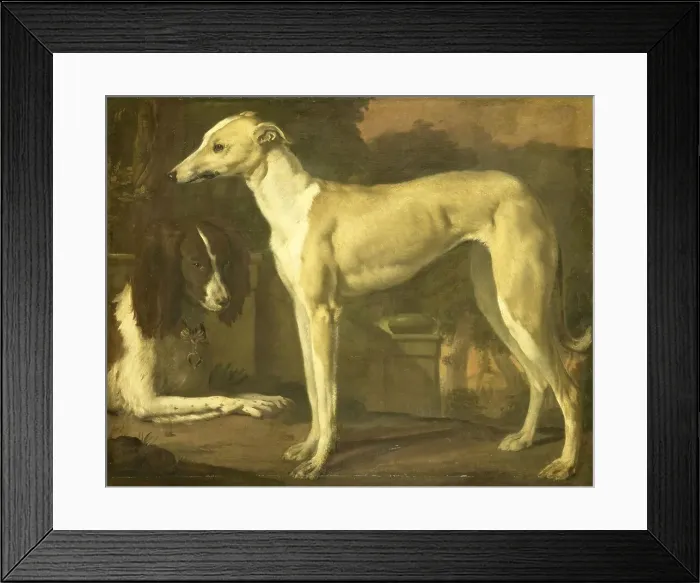 Framed Print : Portrait of a Greyhound and Spaniel, 1665-1680. Creator: Jan Weenix Framed Print : Portrait of a Greyhound and Spaniel, 1665-1680. Creator: Jan Weenix