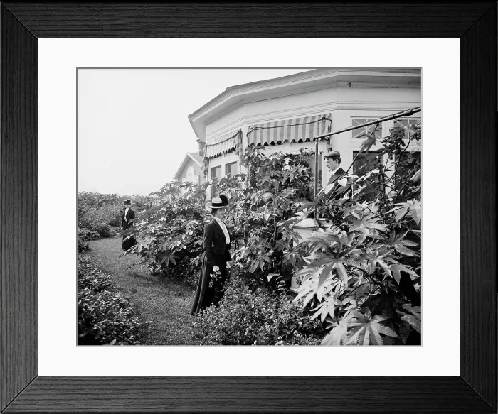 Framed Print : Foliage and east window of officers club, National Cash Register [Company], Dayton, Ohio, (1902?). Creator: William H. Jackson