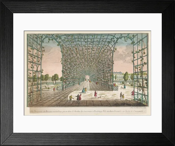 Framed Print : View of foliage in the Governor's garden, Pondicherry, 1745-1775. Creator: Anon Framed Print : View of foliage in the Governor's garden, Pondicherry, 1745-1775. Creator: Anon