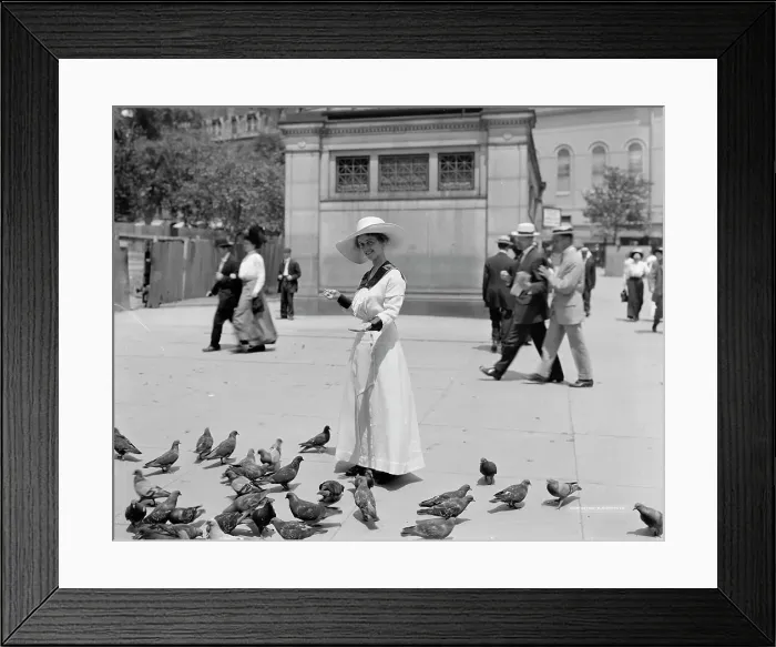 Framed Print : Feeding the pigeons, Boston Common, possibly 1911 or 1912. Creator: William H. Jackson Framed Print : Feeding the pigeons, Boston Common, possibly 1911 or 1912. Creator: William H. Jackson
