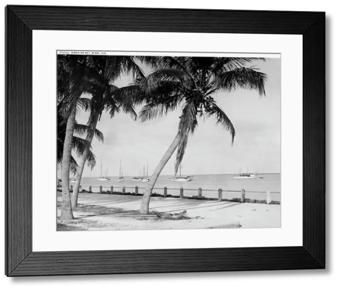 Framed Print : Biscayne Bay, Miami, Fla. c.between 1910 and 1920. Creator: William H. Jackson Framed Print : Biscayne Bay, Miami, Fla. c.between 1910 and 1920. Creator: William H. Jackson