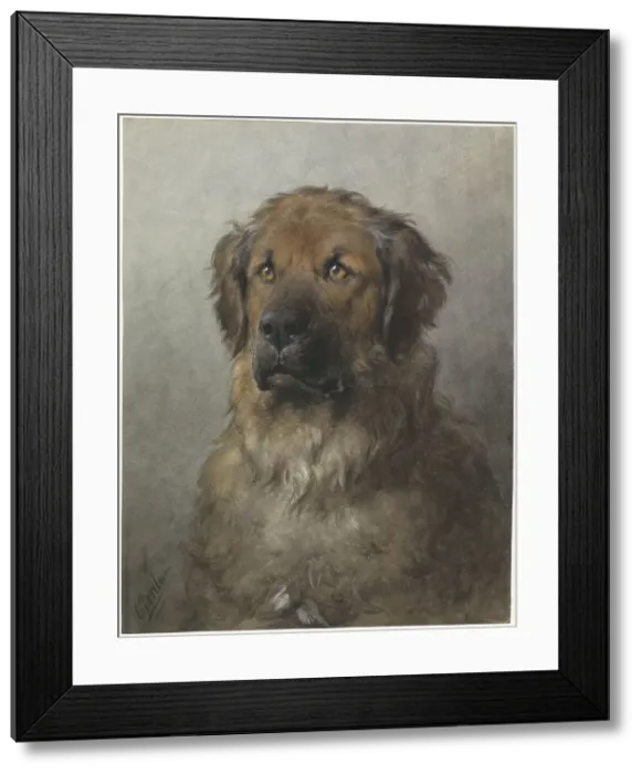 Framed Print : Head of a Leonberger, c.1880-c.1892. Creator: Otto Eerelman Framed Print : Head of a Leonberger, c.1880-c.1892. Creator: Otto Eerelman