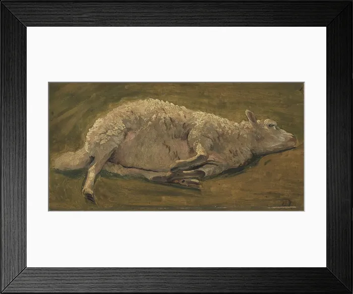 Framed Print : Study of a sheep lying down, 1846. Creator: Carlo Eduardo Dalgas Framed Print : Study of a sheep lying down, 1846. Creator: Carlo Eduardo Dalgas