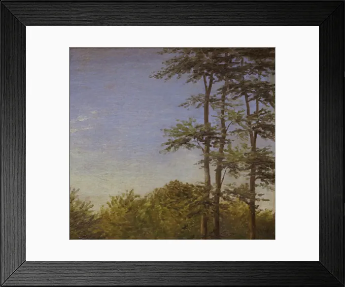 Framed Print : Study of Undergrowth and Tall Trees, Funen, 1846. Creator: Dankvart Dreyer Framed Print : Study of Undergrowth and Tall Trees, Funen, 1846. Creator: Dankvart Dreyer