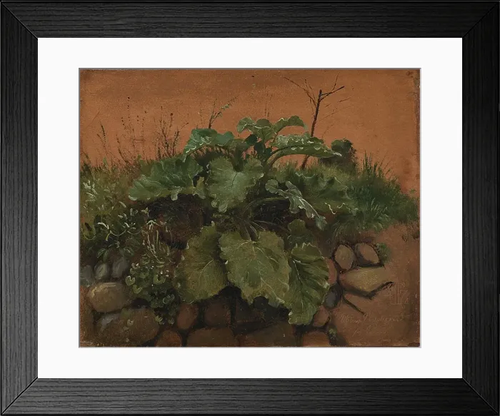 Framed Print : A Burdock and Other Plants on a Stone Wall, 1847. Creator: Johan Thomas Lundbye Framed Print : A Burdock and Other Plants on a Stone Wall, 1847. Creator: Johan Thomas Lundbye