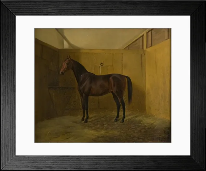 Framed Print : Bruno, 1848. Creator: Fritz Thomsen Framed Print : Bruno, 1848. Creator: Fritz Thomsen