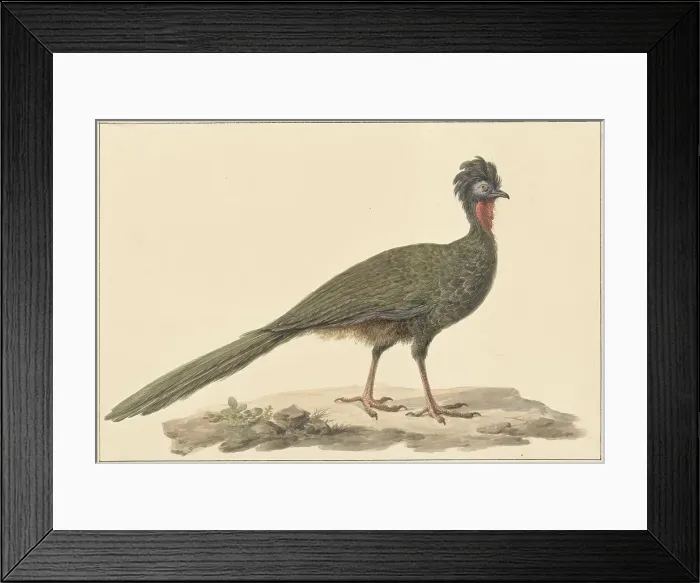 Framed Print : Penelope, on the ground, 1759-1842. Creator: Pieter Bartholomeusz. Barbiers Framed Print : Penelope, on the ground, 1759-1842. Creator: Pieter Bartholomeusz. Barbiers