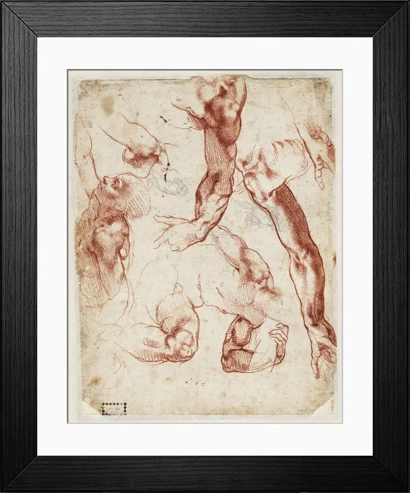 Framed Print : Studies of figures and limbs, 1511. Creator: Buonarroti, Michelangelo (1475-1564) Framed Print : Studies of figures and limbs, 1511. Creator: Buonarroti, Michelangelo (1475-1564)