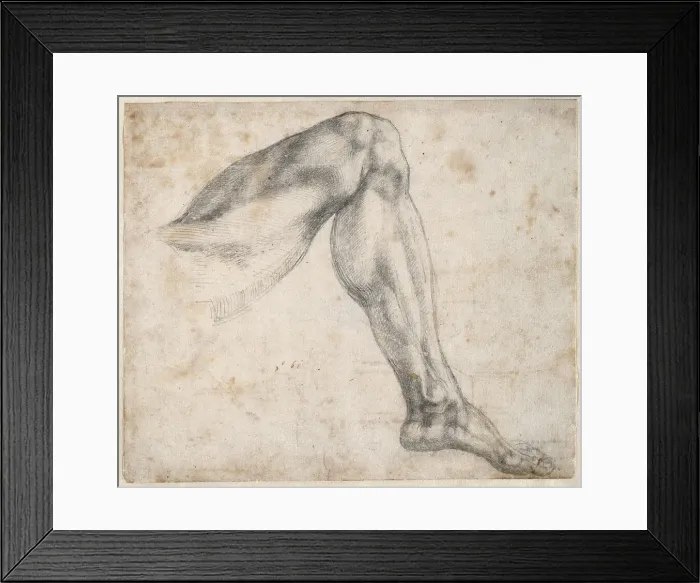 Framed Print : Study of a leg, 1524. Creator: Buonarroti, Michelangelo (1475-1564) Framed Print : Study of a leg, 1524. Creator: Buonarroti, Michelangelo (1475-1564)