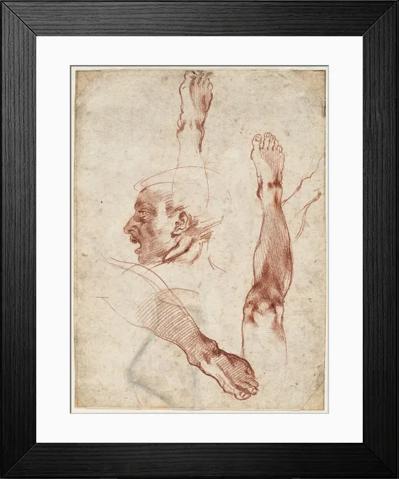 Framed Print : Male head in profile, studies of limbs, 1511. Creator: Buonarroti, Michelangelo (1475-1564) Framed Print : Male head in profile, studies of limbs, 1511. Creator: Buonarroti, Michelangelo (1475-1564)