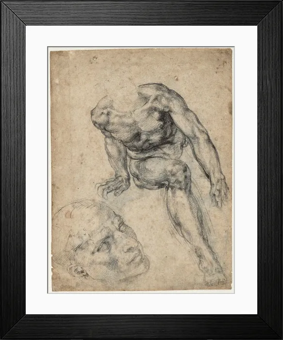 Framed Print : Study of a male nude, ca 1537. Creator: Buonarroti, Michelangelo (1475-1564) Framed Print : Study of a male nude, ca 1537. Creator: Buonarroti, Michelangelo (1475-1564)