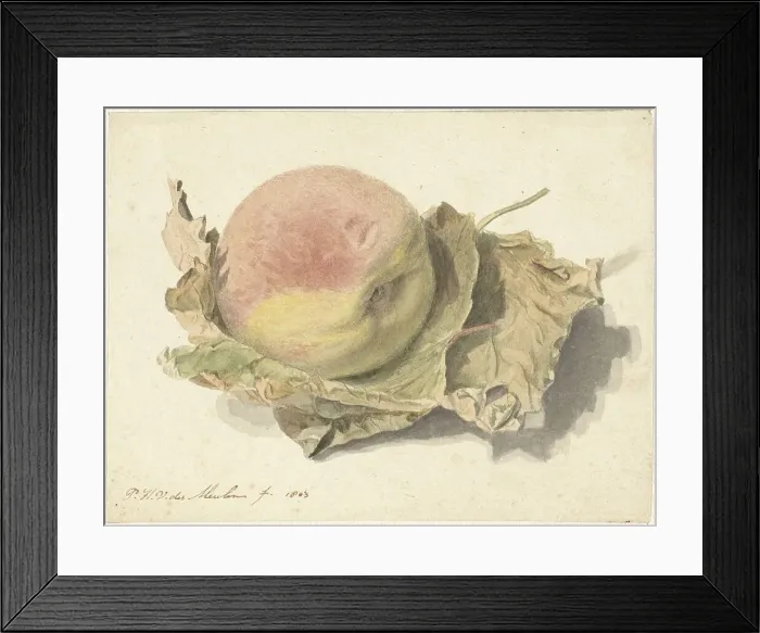 Framed Print : Peach on two leaves, 1803. Creator: Pieter van der Meulen Framed Print : Peach on two leaves, 1803. Creator: Pieter van der Meulen