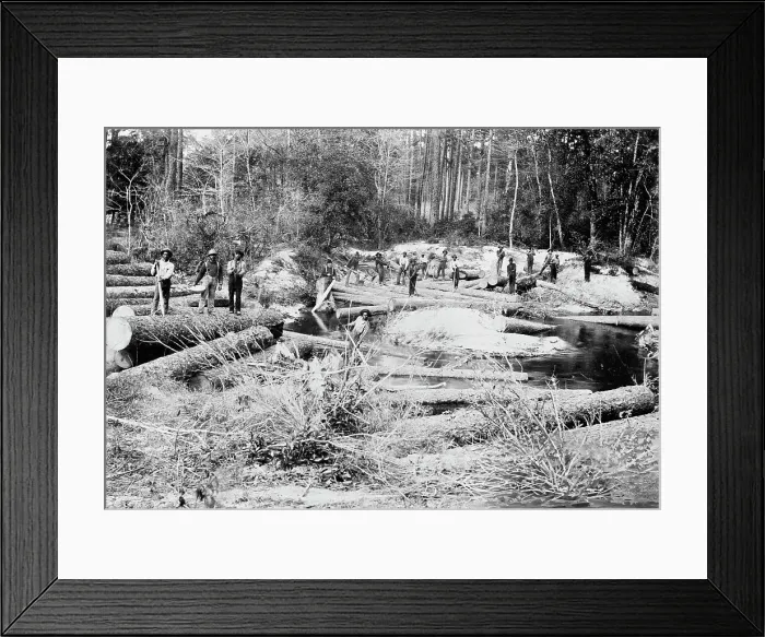 Framed Print : Rafting pine logs, Keystone Lumber Company, 1901 Dec 29. Creator: Unknown Framed Print : Rafting pine logs, Keystone Lumber Company, 1901 Dec 29. Creator: Unknown
