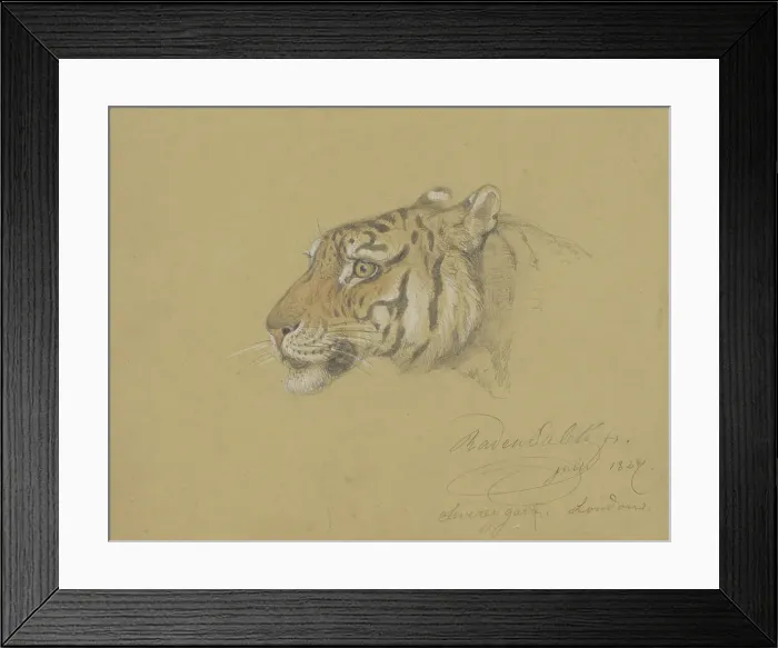 Framed Print : Head of a Tiger, 1847. Creator: Raden Saleh Framed Print : Head of a Tiger, 1847. Creator: Raden Saleh