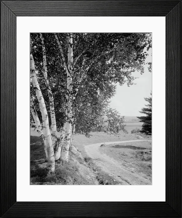 Framed Print : Down the road and far away, c.between 1910 and 1920. Creator: Unknown Framed Print : Down the road and far away, c.between 1910 and 1920. Creator: Unknown