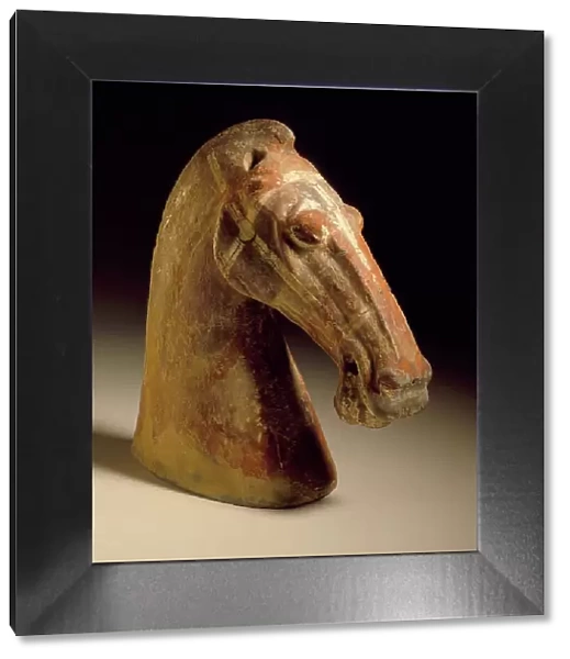 Horse Head, 206 B.C.- A.D. 220. Creator: Unknown