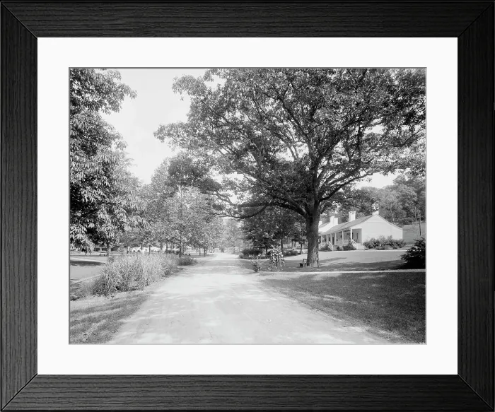 Framed Print : White Sulphur Springs, W. Va. the west approach, c.between 1910 and 1920. Creator: Unknown Framed Print : White Sulphur Springs, W. Va. the west approach, c.between 1910 and 1920. Creator: Unknown