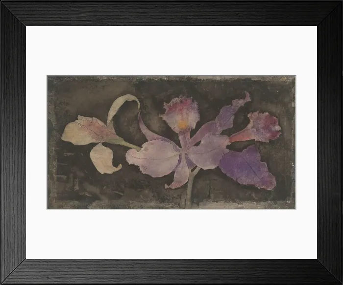 Framed Print : Purple orchid, 1876-1951. Creator: Theodorus Willem Nieuwenhuis Framed Print : Purple orchid, 1876-1951. Creator: Theodorus Willem Nieuwenhuis