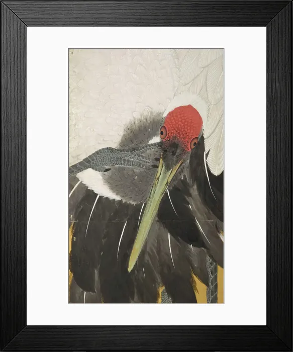 Framed Print : Cranes (image 6 of 20), An'ei period (1772-1780). Creator: Maruyama Okyo Framed Print : Cranes (image 6 of 20), An'ei period (1772-1780). Creator: Maruyama Okyo