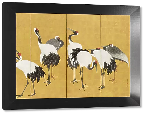 Cranes (image 2 of 20), An'ei period (1772-1780). Creator: Maruyama Okyo