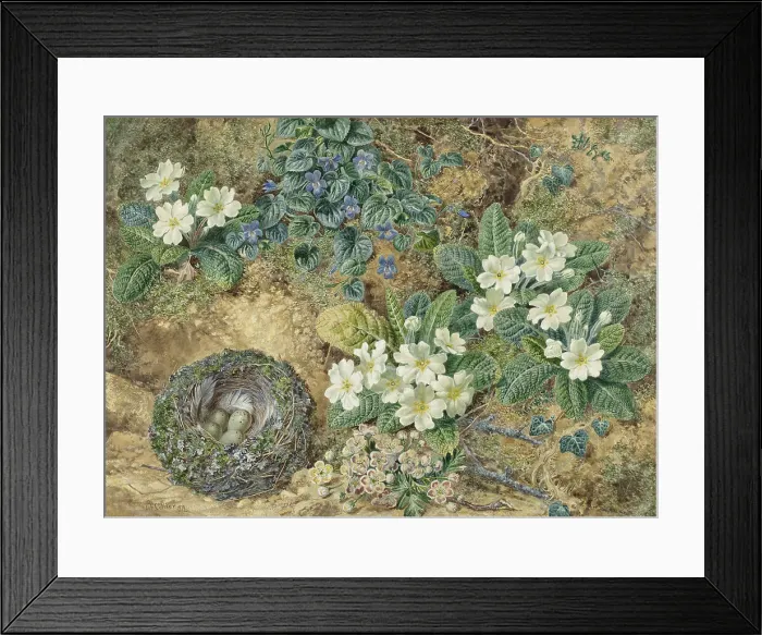 Framed Print : Still life of a bird's nest, violets, primroses and apple blossoms, 1872. Creator: Thomas Frederick Collier Framed Print : Still life of a bird's nest, violets, primroses and apple blossoms, 1872. Creator: Thomas Frederick Collier