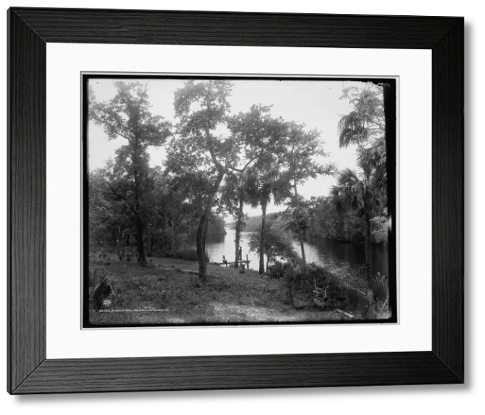 Framed Print : Misenor's Ldg. on the Tomoka, c1894. Creator: William H. Jackson Framed Print : Misenor's Ldg. on the Tomoka, c1894. Creator: William H. Jackson