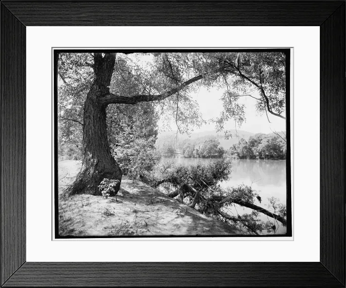 Framed Print : Across the French Broad near Hot Springs, N.C. (1902?). Creator: William H. Jackson Framed Print : Across the French Broad near Hot Springs, N.C. (1902?). Creator: William H. Jackson